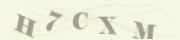 Защита от автоматических сообщений
